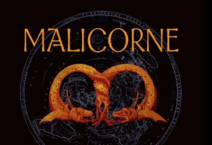 Stage - Malicorne 